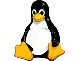 Service_Lin